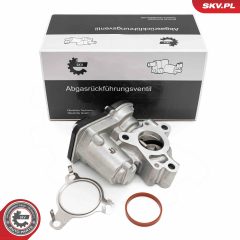 ESEN SKV 14SKV276 — Supapă EGR