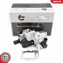 ESEN SKV 14SKV280 — Клапан EGR