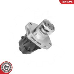 ESEN SKV 14SKV302 — Клапан EGR