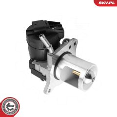 ESEN SKV 14SKV325 — Клапан EGR