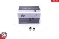 ESEN SKV 17SKV470 — Блок управления АКПП