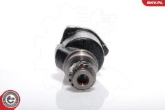 ESEN SKV 18SKV001 — Pompă vacuum frână