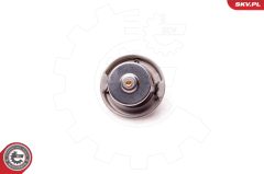 ESEN SKV 20SKV048 — Термостат