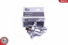 ESEN SKV 20SKV083 — Термостат