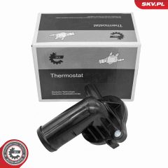 ESEN SKV 20SKV256 — Термостат