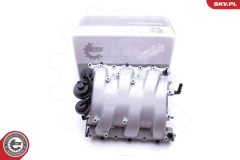 ESEN SKV 49SKV013 — Modul galerie admisie