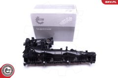 ESEN SKV 49SKV019 — Впускной модуль
