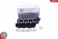 ESEN SKV 49SKV038 — Впускной модуль