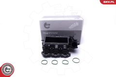 ESEN SKV 49SKV061 — Впускной модуль