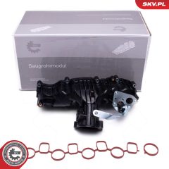 ESEN SKV 49SKV077 — Впускной модуль