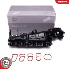 ESEN SKV 49SKV078 — Впускной модуль
