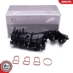 ESEN SKV 49SKV079 — Впускной модуль