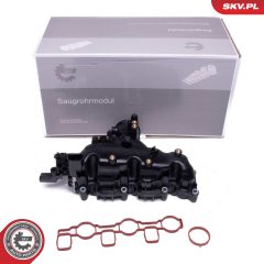 ESEN SKV 49SKV080 — Впускной модуль