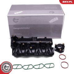 ESEN SKV 49SKV081 — Впускной модуль