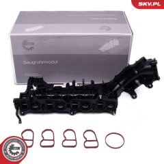 ESEN SKV 49SKV082 — Впускной модуль