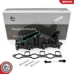 ESEN SKV 49SKV084 — Modul galerie admisie