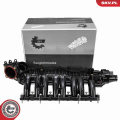 ESEN SKV 49SKV090 — Modul galerie admisie