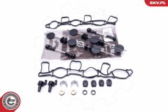 ESEN SKV 49SKV500 — Kit reparație modul galerie admisie