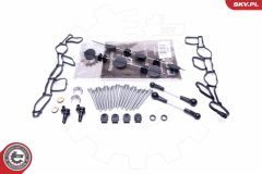 ESEN SKV 49SKV501 — Kit reparație modul galerie admisie