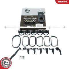 ESEN SKV 49SKV506 — Kit reparație modul galerie admisie