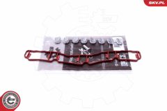 ESEN SKV 49SKV510 — Kit reparație modul galerie admisie