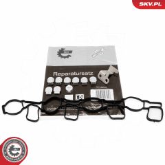 ESEN SKV 49SKV511 — Kit reparație modul galerie admisie