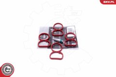 ESEN SKV 49SKV513 — Kit reparație modul galerie admisie