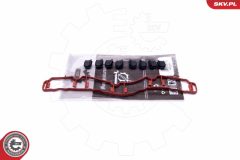 ESEN SKV 49SKV514 — Kit reparație modul galerie admisie