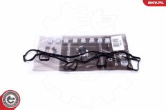 ESEN SKV 49SKV515 — Kit reparație modul galerie admisie