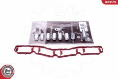 ESEN SKV 49SKV521 — Kit reparație modul galerie admisie