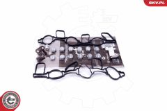 ESEN SKV 49SKV523 — Kit reparație modul galerie admisie