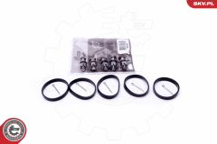 ESEN SKV 49SKV524 — Kit reparație modul galerie admisie