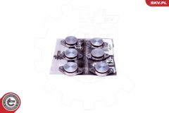 ESEN SKV 49SKV542 — Kit reparație modul galerie admisie