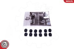 ESEN SKV 49SKV543 — Kit reparație modul galerie admisie