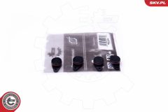 ESEN SKV 49SKV558 — Kit reparație modul galerie admisie