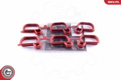 ESEN SKV 49SKV651 — Kit reparație modul galerie admisie