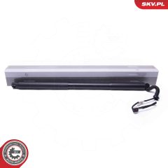 ESEN SKV 52SKV965 — Motor electric hayon