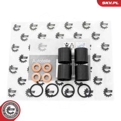 ESEN SKV 53SKV186 — Ремкомплект распылителя форсунки