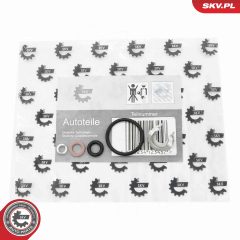 ESEN SKV 53SKV192 — Set reparație corp injector