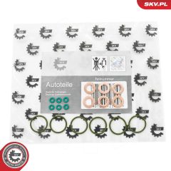 ESEN SKV 53SKV200 — Комплект уплотнительных колец форсунки