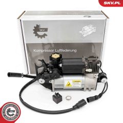 ESEN SKV 58SKV524 — Воздушный компрессор пневмосистемы