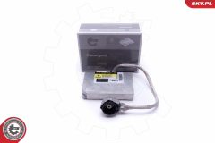 ESEN SKV 59SKV017 — Modul comandă lumini