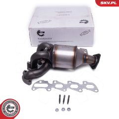 ESEN SKV 62SKV008 — Катализатор