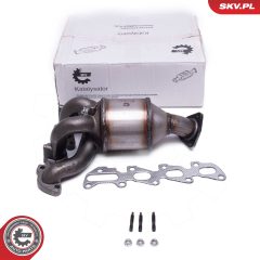 ESEN SKV 62SKV029 — Катализатор