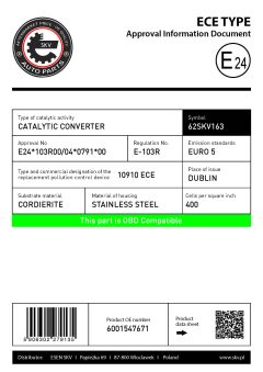 ESEN SKV 62SKV163 — Catalizator