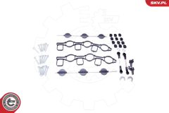 ESEN SKV 96SKV050 — Kit reparație modul galerie admisie
