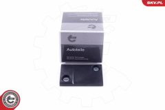 ESEN SKV 96SKV133 — Modul de comandă buton închidere centralizată