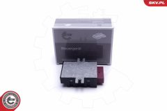 ESEN SKV 96SKV209 — Блок управления топливным насосом