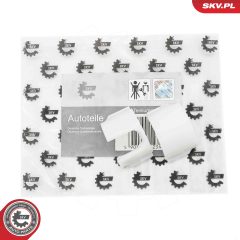 ESEN SKV 96SKV281 — Set reparație manetă schimbător de viteze