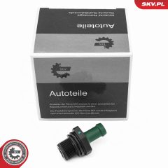 ESEN SKV 97SKV134 — Supapă ventilație carter